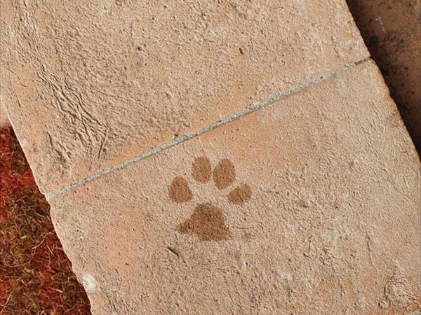 La Torretta - foto 52301.jpg