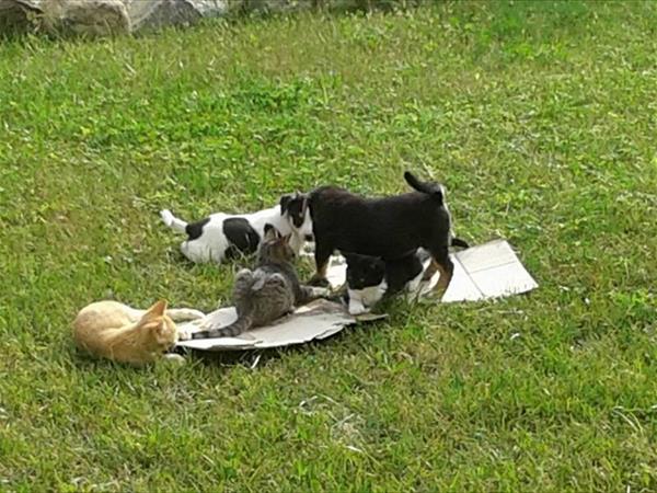 Agriturismo Barna - foto 52440.jpg