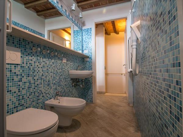 Fattoria Palazzeta  - foto 52508.jpg