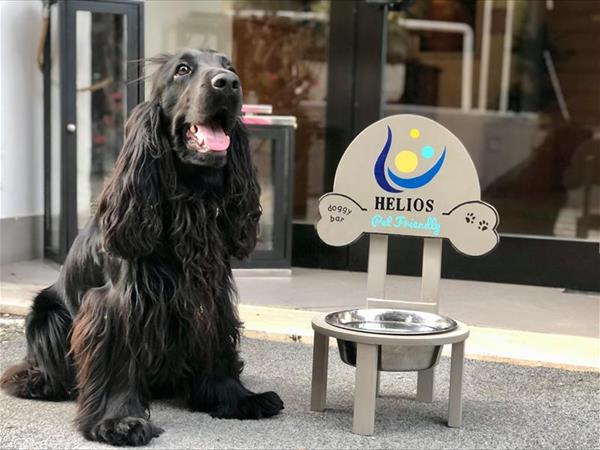 Hotel Helios - foto 52535.jpg