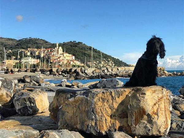 Hotel Helios - foto 52536.jpg