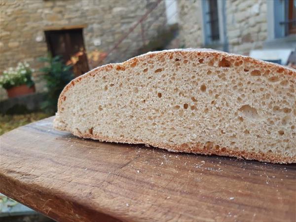 Agriturismo Pedrosola - foto 52577.jpg