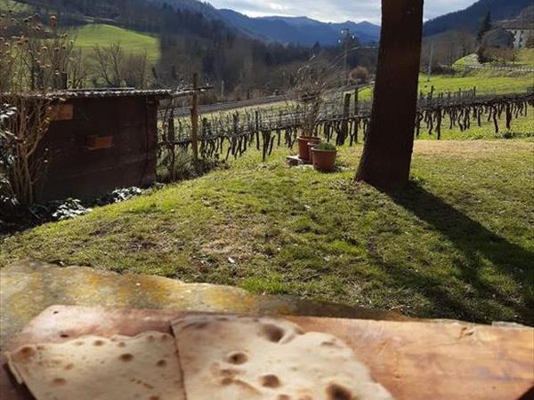 Agriturismo Pedrosola - foto 52591.jpg