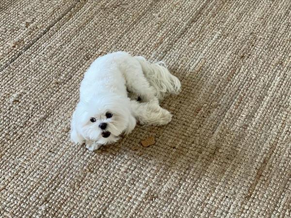 MareHome - foto 52592.jpg