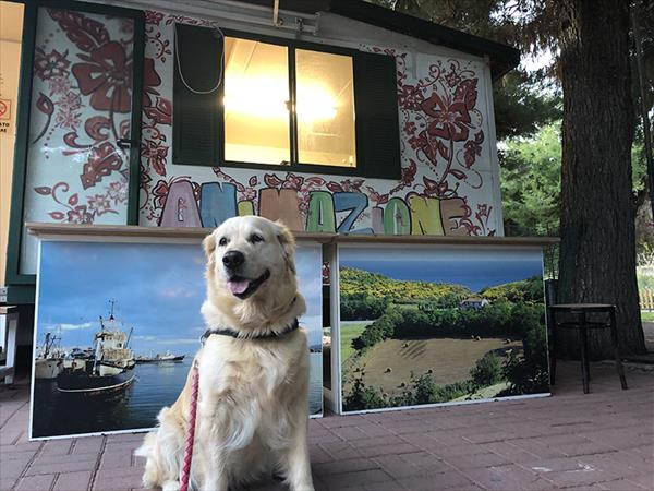 Camping Verdemare  - foto 52677.jpg