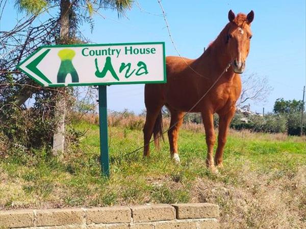 Country House Una - foto 52762.jpg