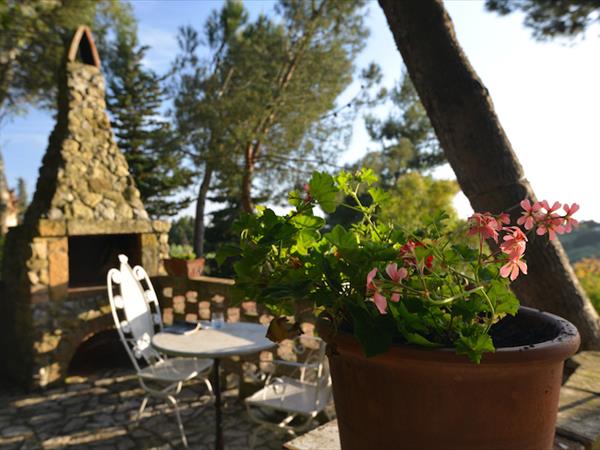 Podere Col di Leccio - foto 52779.jpg