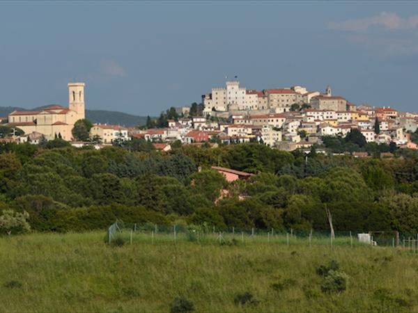 Podere Col di Leccio - foto 52791.jpg