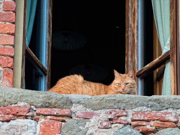 Casa Elisa - foto 52848.jpg