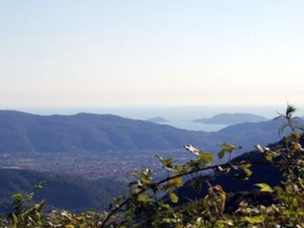 Agriturismo Ca� del Moreto - foto 8481.jpg