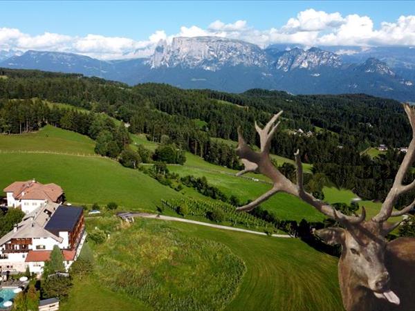 Hotel Naturidylle Geyrerhof - foto 52940.jpg