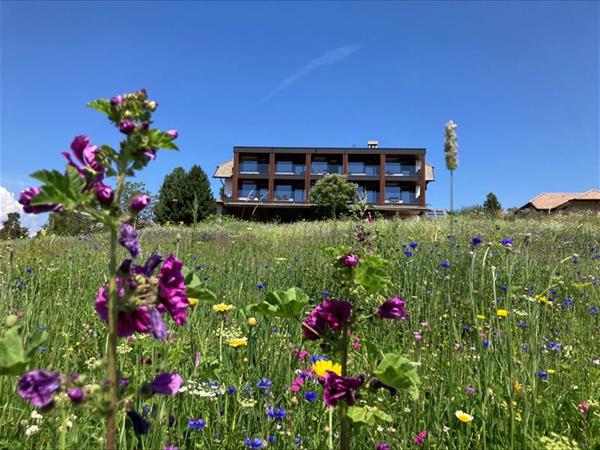 Hotel Naturidylle Geyrerhof - foto 52947.jpg