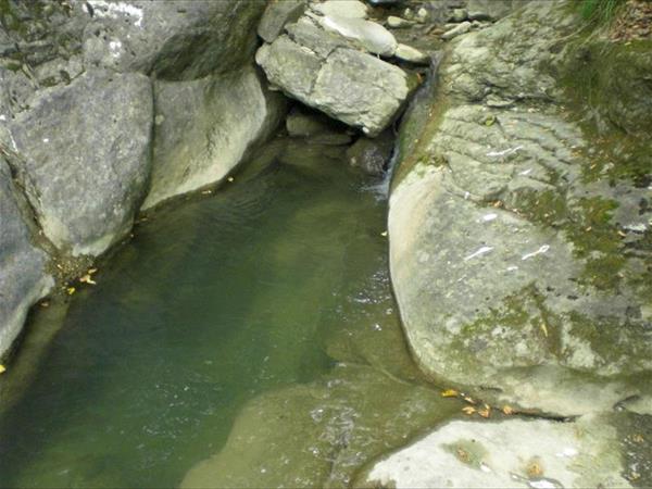 Agriturismo Le Querciole - foto 52967.jpg