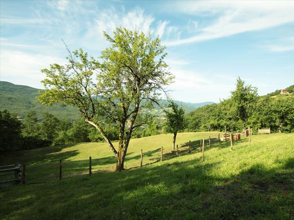 Agriturismo Le Querciole - foto 52969.jpg