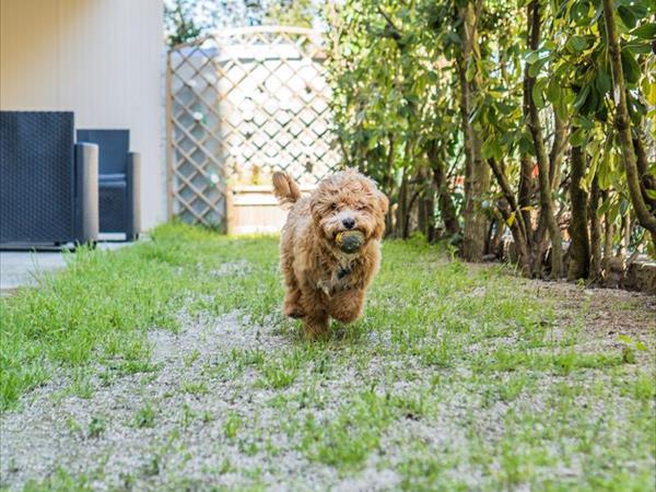 Hotel Kursaal - foto 52995.jpg