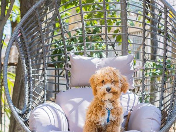 Hotel Kursaal - foto 52996.jpg