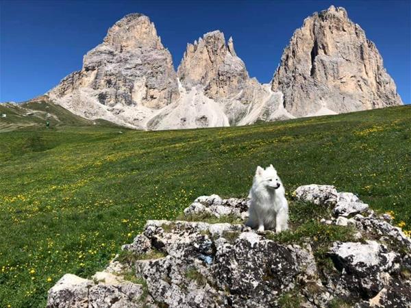 Hotel Lupo Bianco Wellness & Walking - foto 53019.jpg