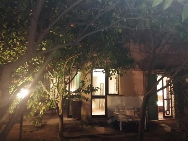 La Mimosa  - foto 53041.jpg