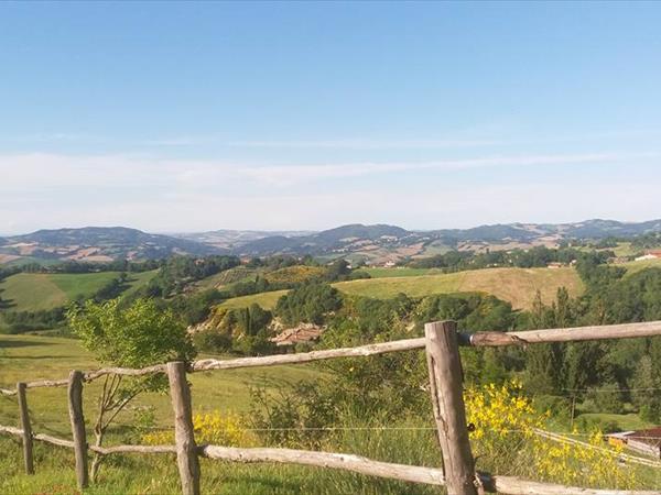 Agriturismo Le Cesane - foto 53046.jpg