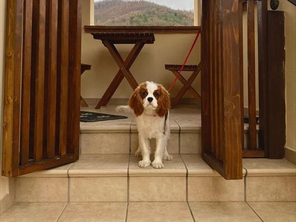 Agriturismo Domus Santa Croce - foto 53058.jpg