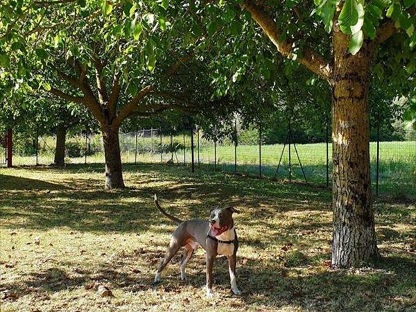 Agriturismo Domus Santa Croce - foto 53061.jpg