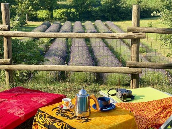 Metina - foto 53064.jpg