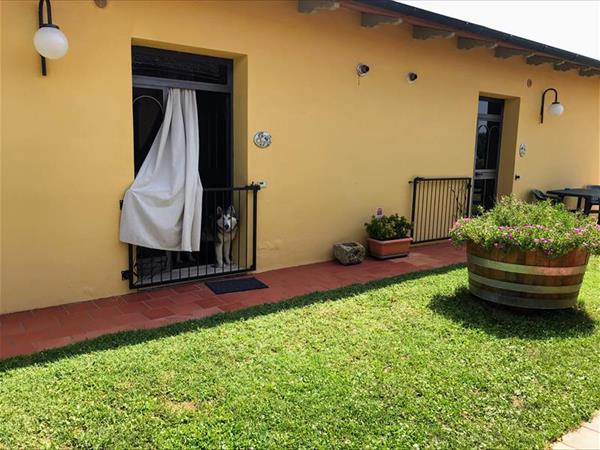 Metina - foto 53066.jpg