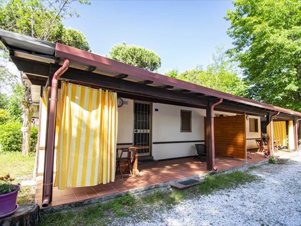 Campeggio Linus - foto 53067.jpg