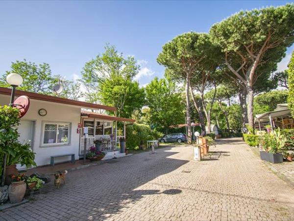 Campeggio Linus - foto 53074.jpg