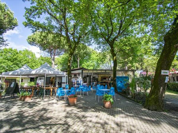 Campeggio Linus - foto 53075.jpg