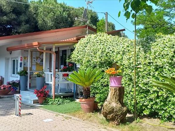 Campeggio Linus - foto 53076.jpg