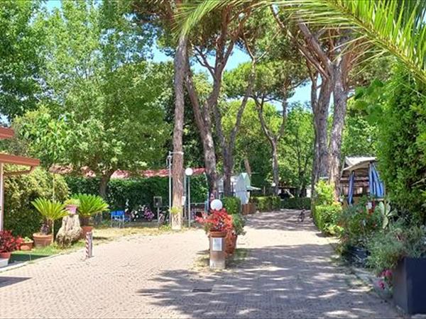 Campeggio Linus - foto 53095.jpg