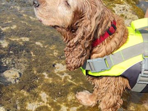 La Maison Blue Salento - Villetta e Monolocale - foto 53140.jpg