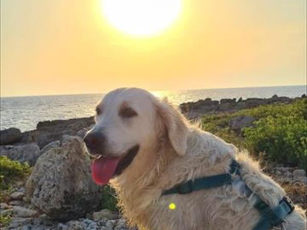 La Maison Blue Salento - Villetta e Monolocale - foto 53142.jpg