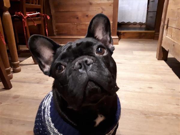 Residence Le Petit Coeur - foto 53209.jpg