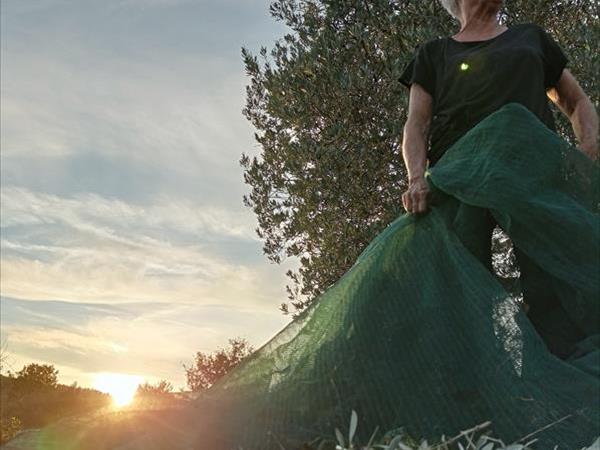 Agriturismo Borgo Spante - foto 53233.jpg