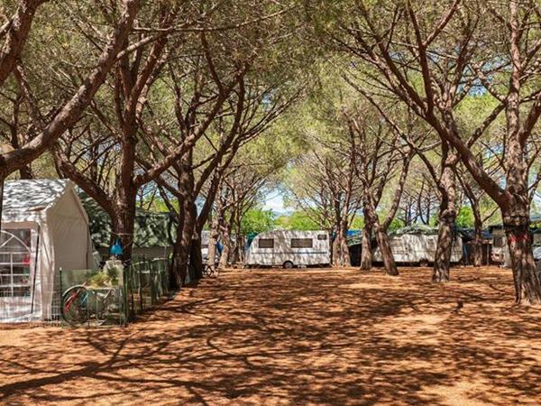 Gitavillage Club Degli Amici - foto 53291.jpg