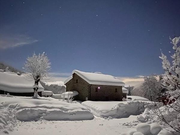 Alpe di Sara - foto 53351.jpg