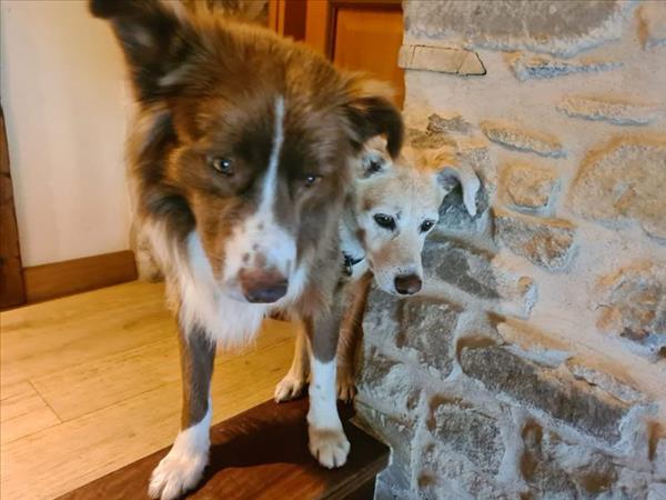 Alpe di Sara - foto 53363.jpg