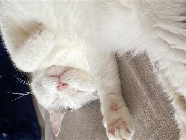 Hotel Ravello - foto 53421.jpg