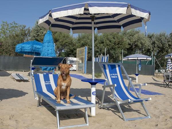 Camping Surabaja-La Playa - foto 53462.jpg