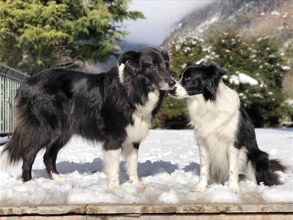 Alledolomiti Boutique Lake Hotel - foto 53521.jpg