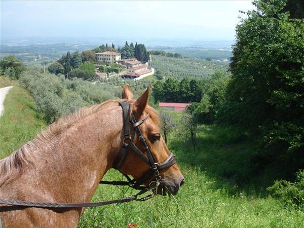 Rendola Riding - foto 53536.jpg