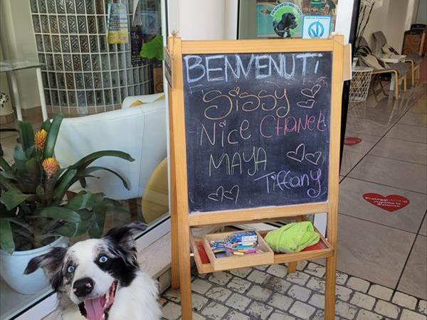 Hotel Virginia - foto 53537.jpg