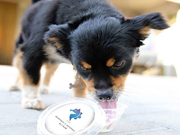 Club Hotel Promenade Universale - foto 53546.jpg