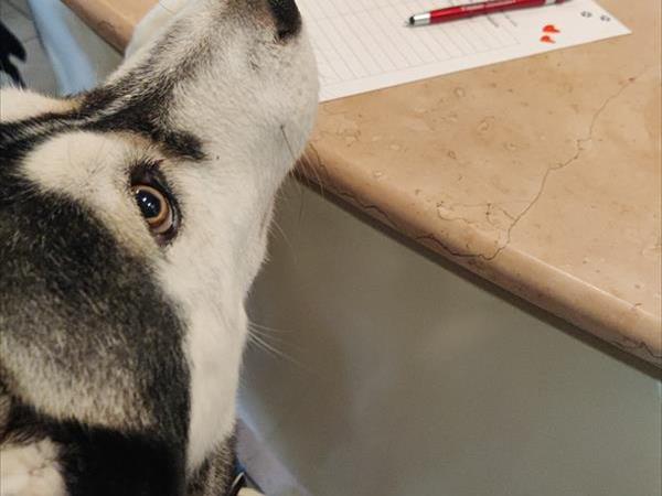 Hotel Virginia - foto 53600.jpg