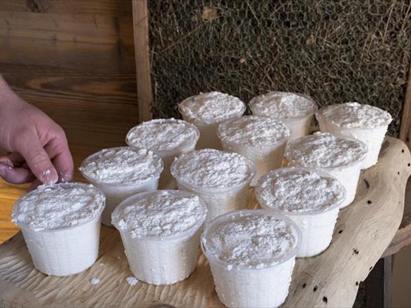 Maso Fior di Bosco - foto 53609.jpg