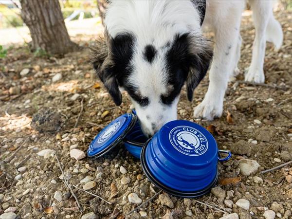 Club del Sole La Risacca Family Camping Village - foto 53632.jpg