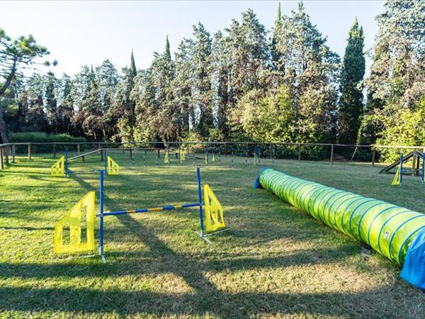 Club del Sole Marina Julia Family Camping Village - foto 53680.jpg