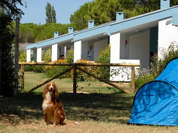 Club del Sole Marina Julia Family Camping Village - foto 53694.jpg